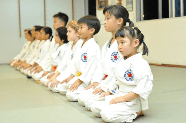 Aikido kids
